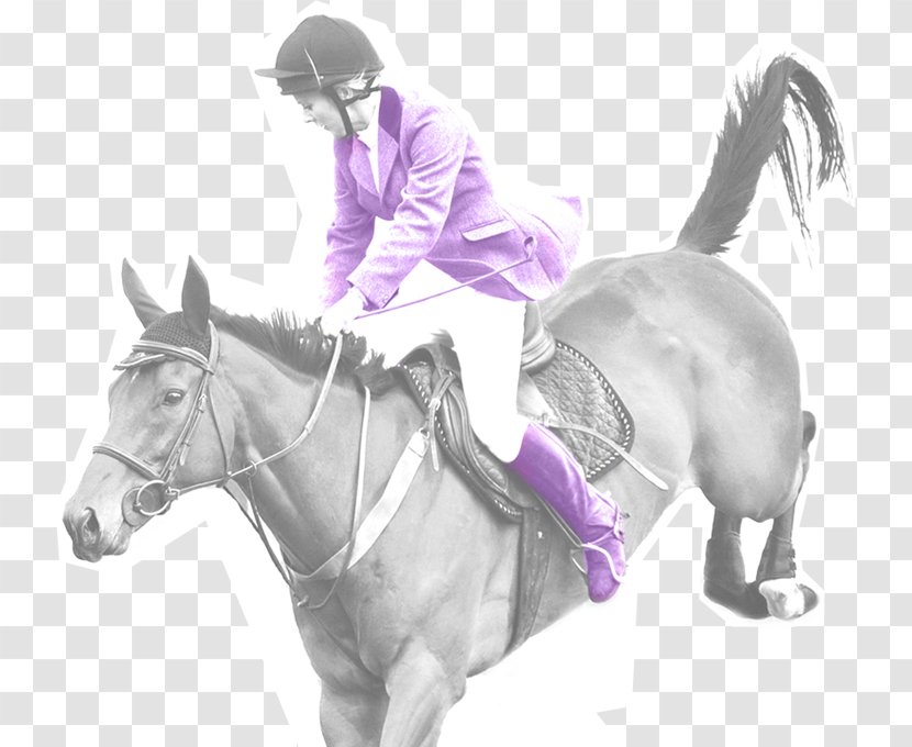 Rein Pony Equestrian Mane Bridle - Purple - Sales Womens Day Transparent PNG