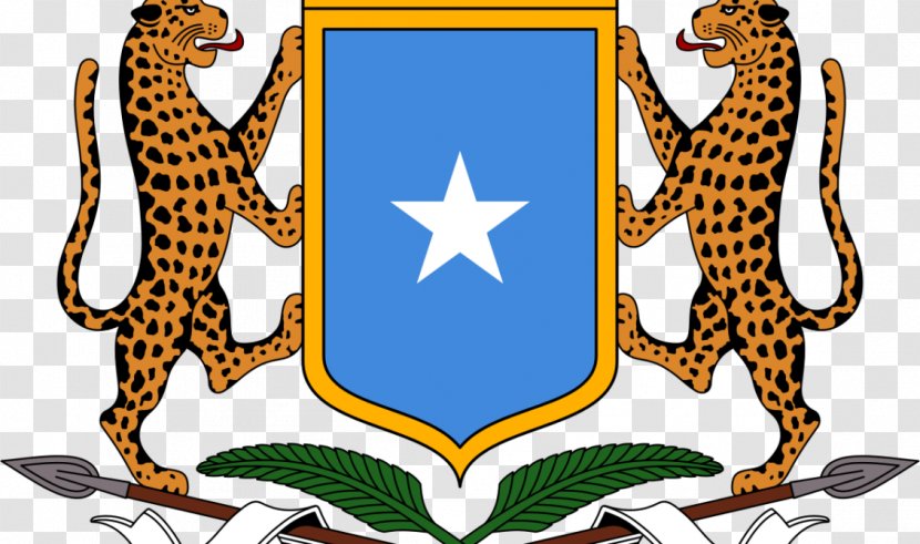 Embassy Of Somalia Dowladda Somali Language (OO) Kismayo - Eritrea Flag Transparent PNG