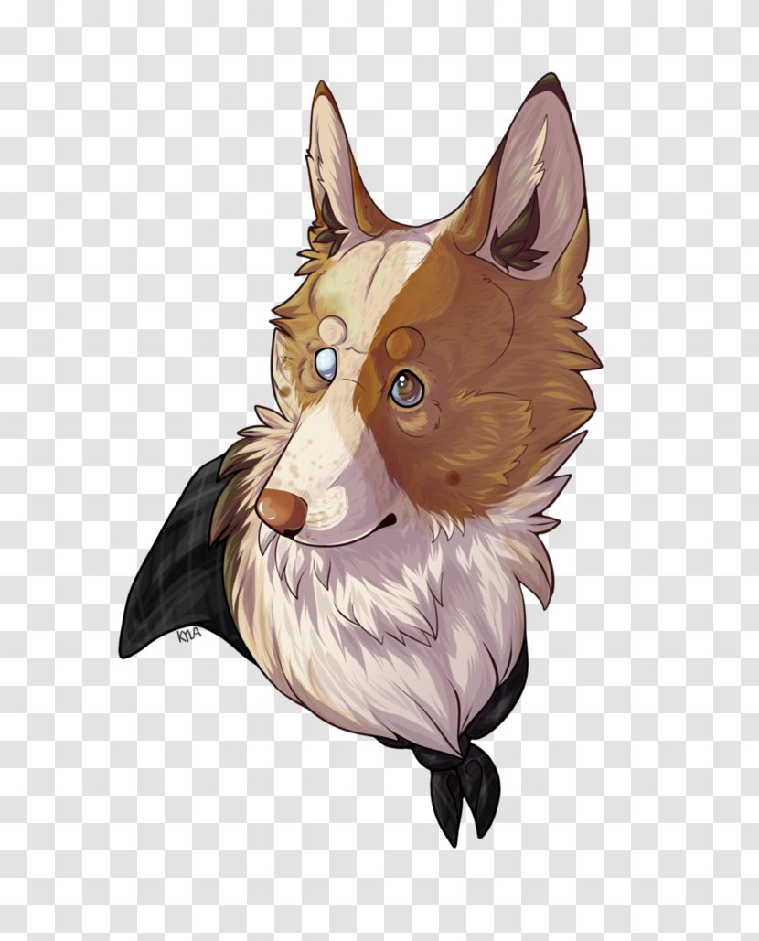 Whiskers Cat Red Fox Snout Transparent PNG