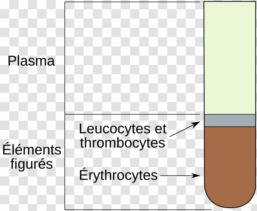 Hematocrit Red Blood Cell Haematopoiesis - Plasma Transparent PNG