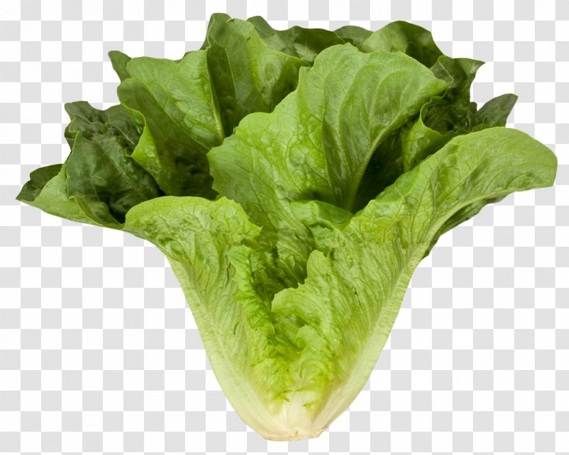 Romaine Lettuce Vegetable Leaf - Cauliflower - Cos Transparent PNG
