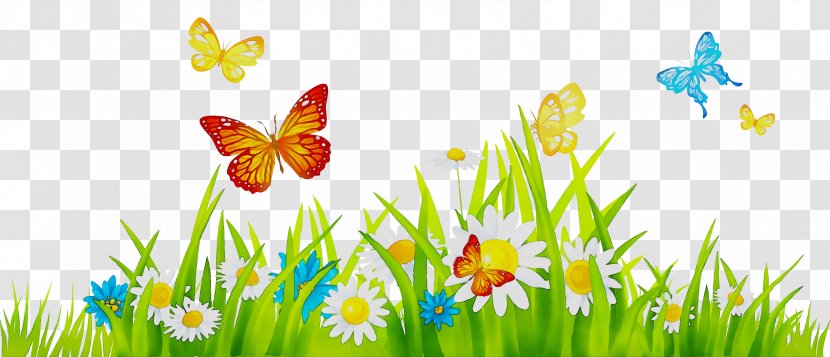 Clip Art Flower Openclipart Borders And Frames Free Content - Organism Transparent PNG