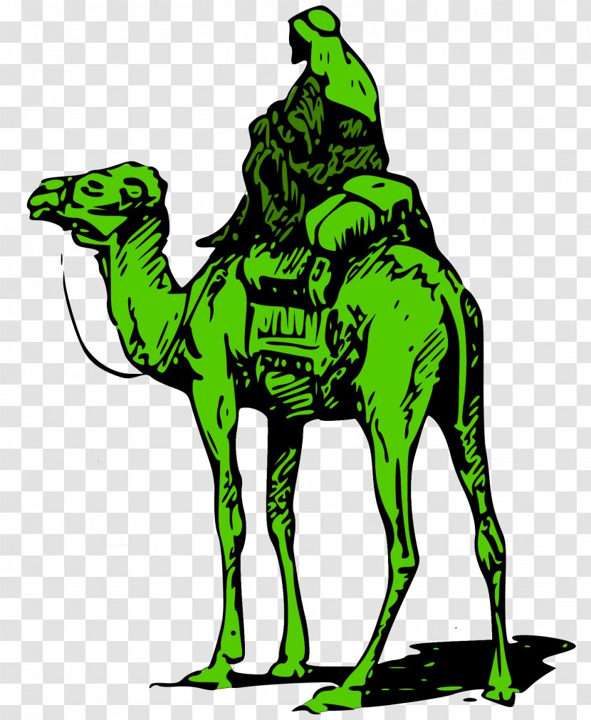 United States Silk Road Darknet Market Bitcoin - Camel Transparent PNG