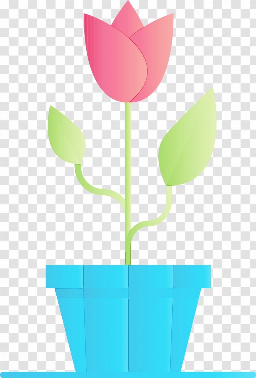 Tulip Flower Plant Plant Stem Flowerpot Transparent PNG