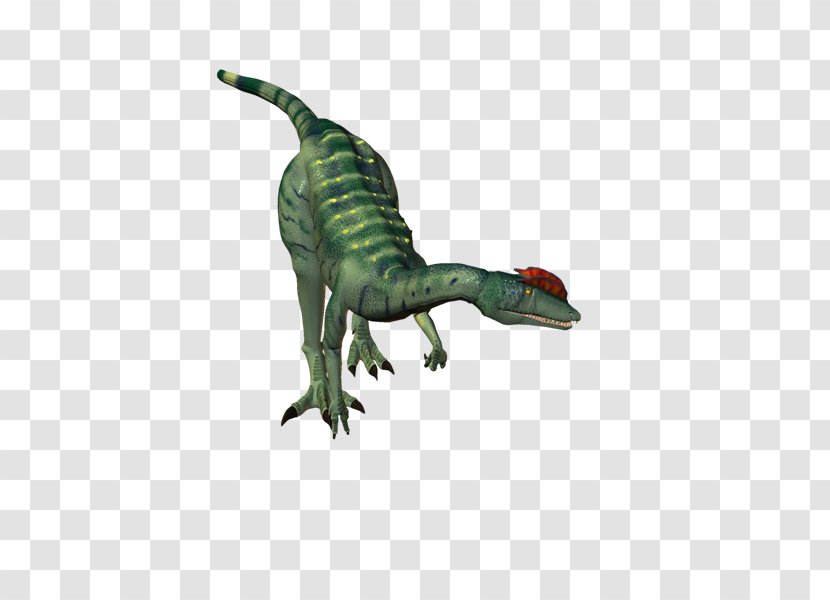 Velociraptor Tyrannosaurus Character Fiction Animal - Dinosaurs Transparent PNG