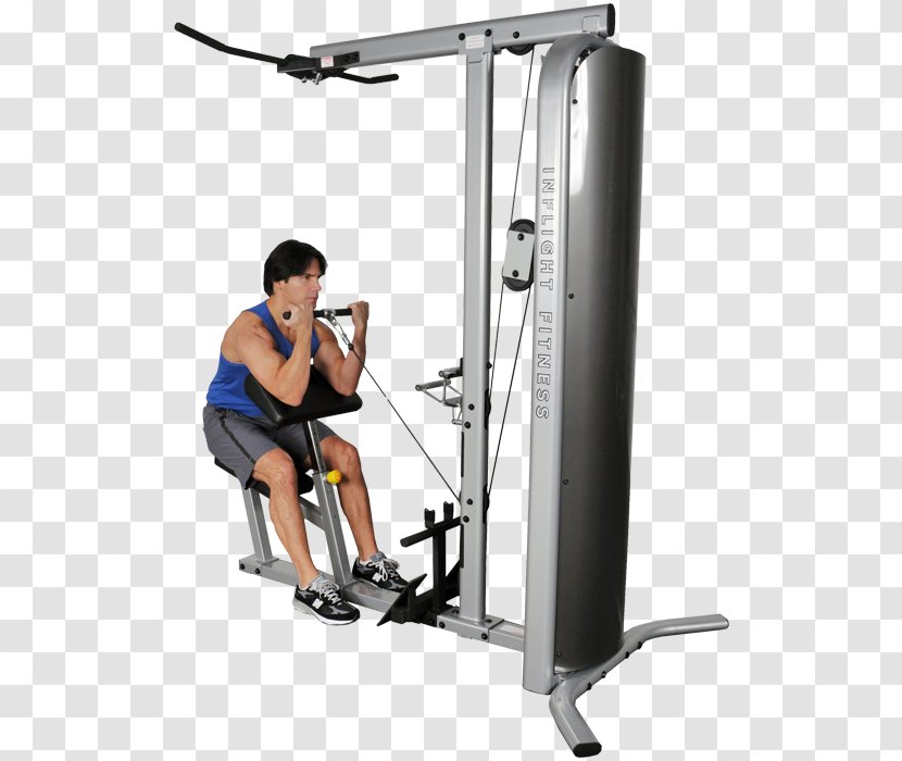 Exercise Equipment Pulldown Biceps Curl Fitness Centre - Physical - Arm Transparent PNG