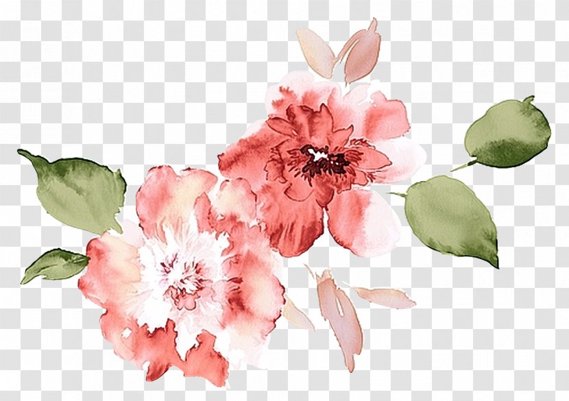 Watercolour Flowers Watercolor Painting Poppy Watercolor: - Art - Flower Transparent PNG
