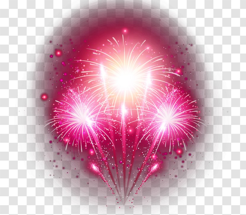 Fireworks Festival - Pyrotechnics Transparent PNG