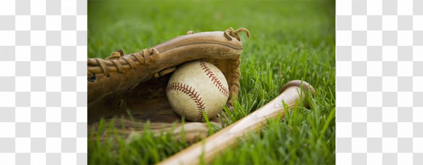 Spring Training 2018 Major League Baseball Season Arizona Wildcats MLB - Sports - Stadium Transparent PNG