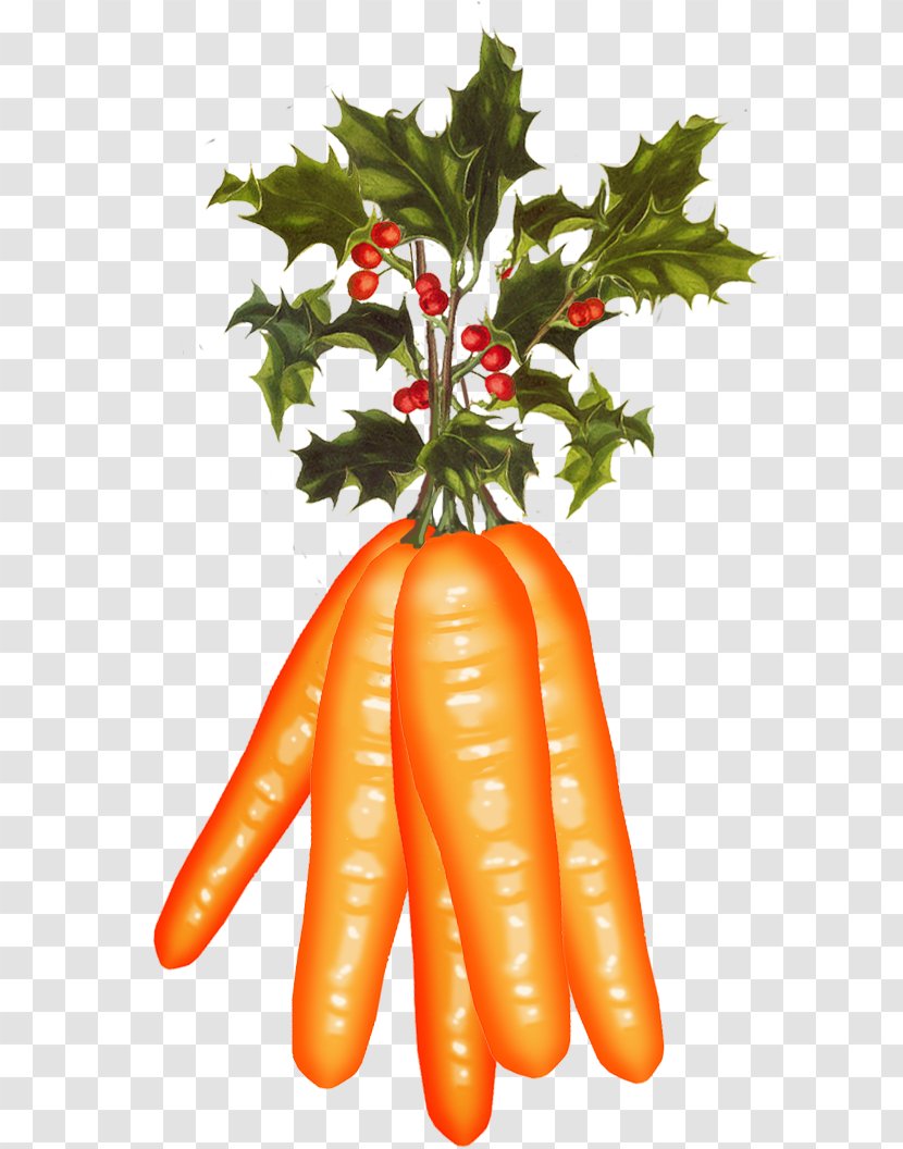 Baby Carrot Vegetarian Cuisine Christmas Food Common Holly - Fruit Transparent PNG