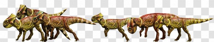 Microceratus Ceratopsia Jurassic Park Metriacanthosaurus Suchomimus - Dinosaur Transparent PNG