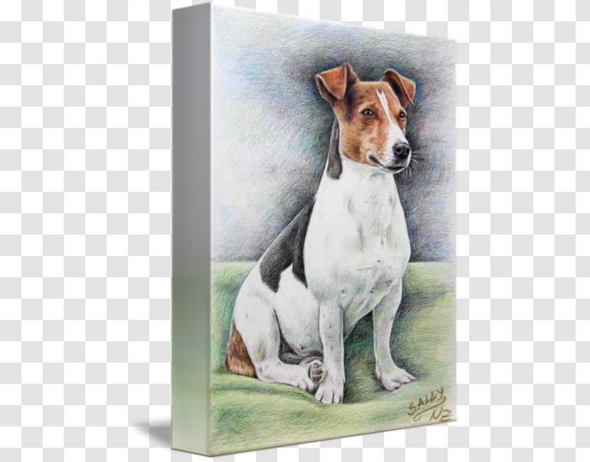 Jack Russell Terrier Dog Breed English Foxhound Puppy Companion - Like Mammal Transparent PNG