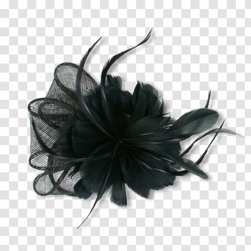 Fascinator Clothing Accessories Hat Fashion Headband - Black Feather Transparent PNG