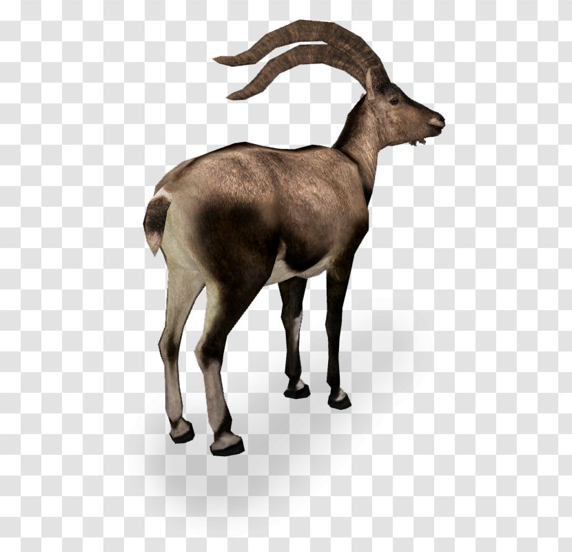 Zoo Tycoon 2 Goat Antelope Deer Pyrenean Ibex - Mammal Transparent PNG
