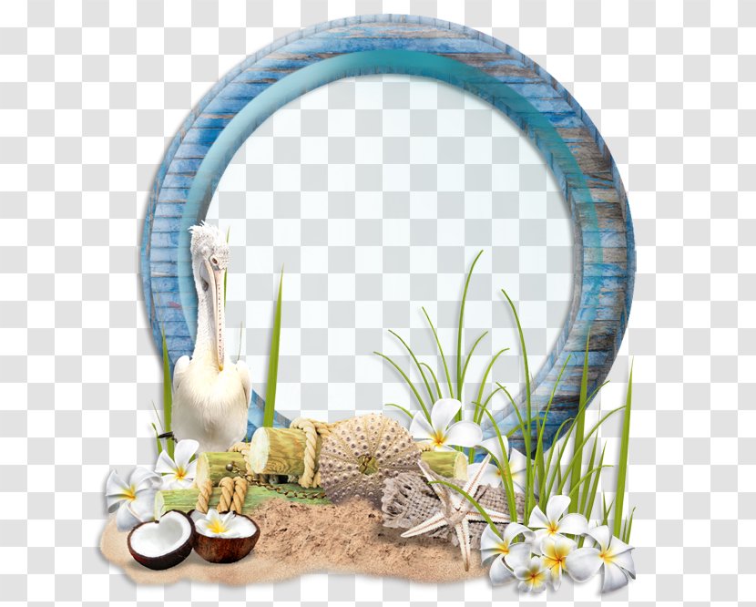 Picture Frames - Grass - Photography Transparent PNG