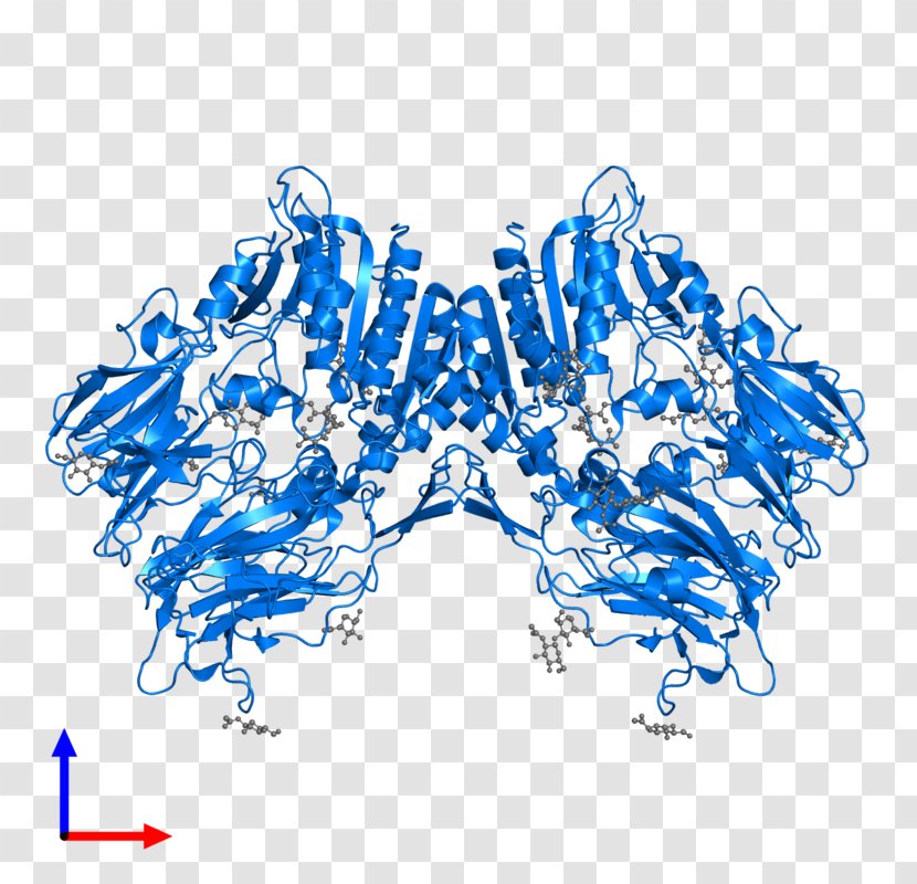 Dipeptidyl Peptidase-4 Protein Protease Gene - Watercolor - Flower Transparent PNG