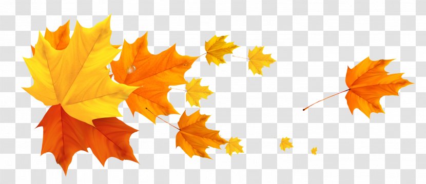 Autumn Clip Art - Deco Fall Leafs Clipart Picture Transparent PNG