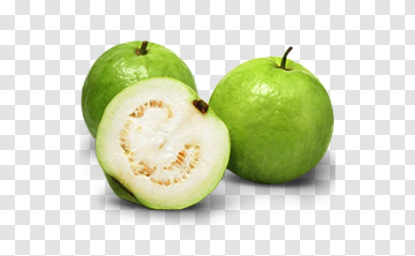 Common Guava Tropical Fruit Juice Vesicles - Pitaya - Auglis Transparent PNG