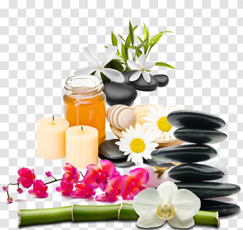 Alternative Health Services Therapy Clay Facial Herbalism - Healing - Angels Oriental Massage Transparent PNG