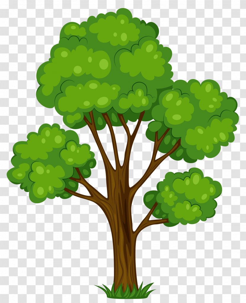 Tree Cartoon Clip Art - Woody Plant Transparent PNG
