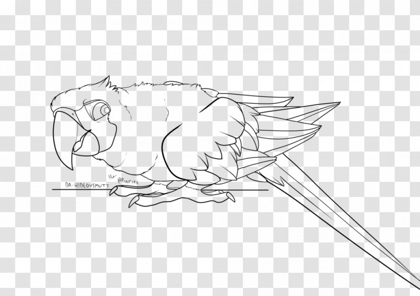 Beak DeviantArt Macaw Sketch - Digital Art - Military Transparent PNG