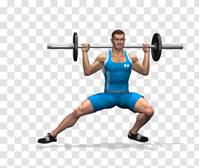 Weight Training Quadriceps Femoris Muscle Rectus Barbell - Cartoon - Gym Squats Transparent PNG