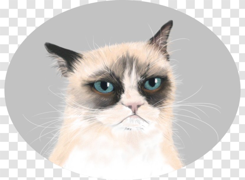 Grumpy Cat Manx Kitten Desktop Wallpaper - Heart - Painted Transparent PNG