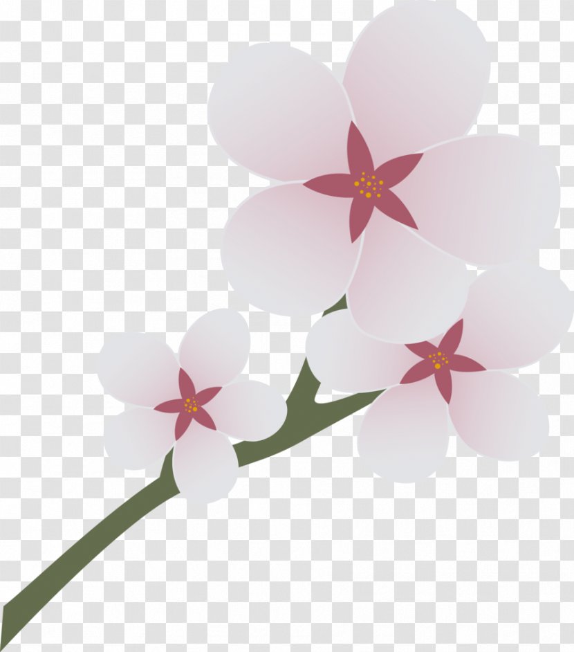 Personal, Social And Health Education Finance School Service - Experience - Cherry Blossom Cartoon Transparent PNG