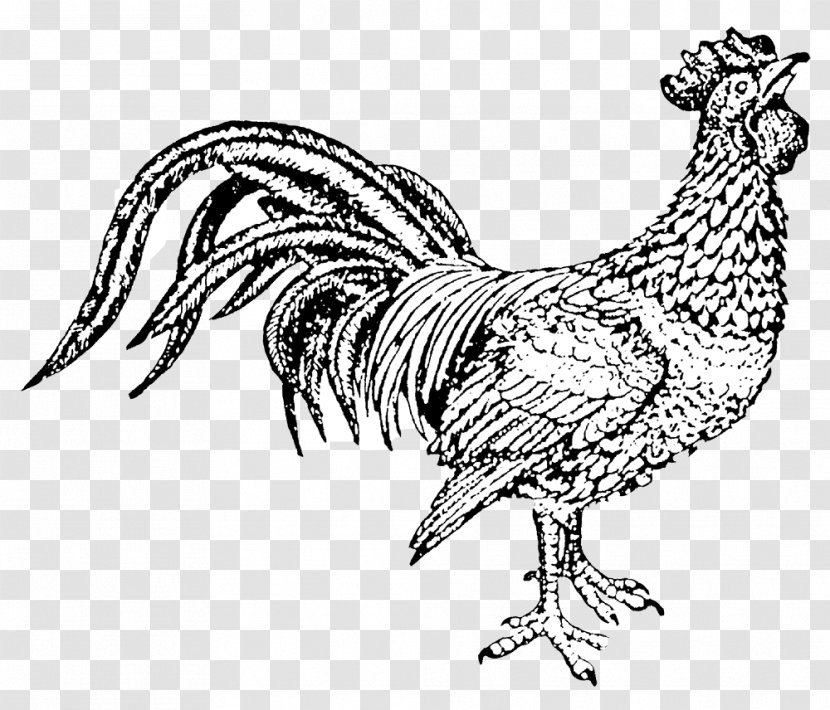 Hei The Rooster Chicken Eurl Les Delices De L Arnes Drawing - Tree Transparent PNG