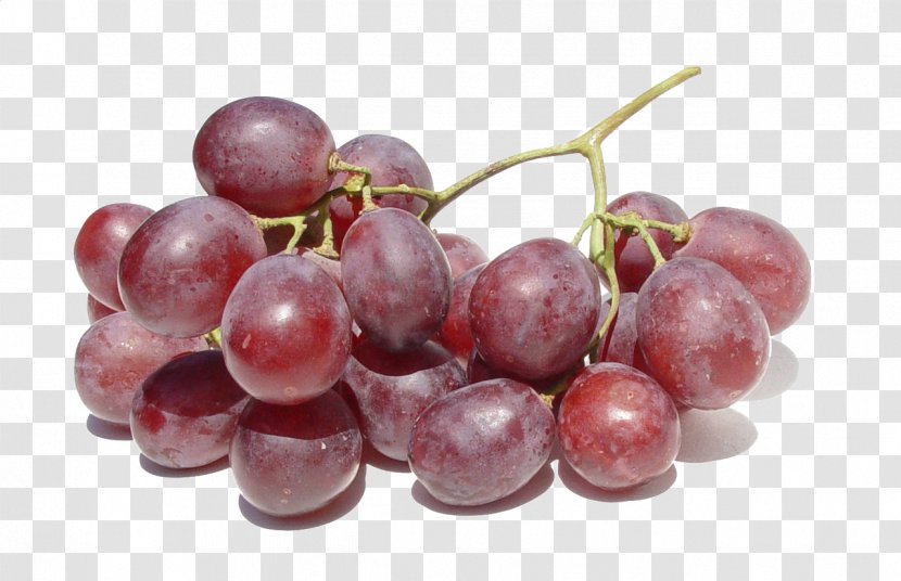 Grape Kyoho Wine Berry Auglis - A Bunch Of Grapes Transparent PNG