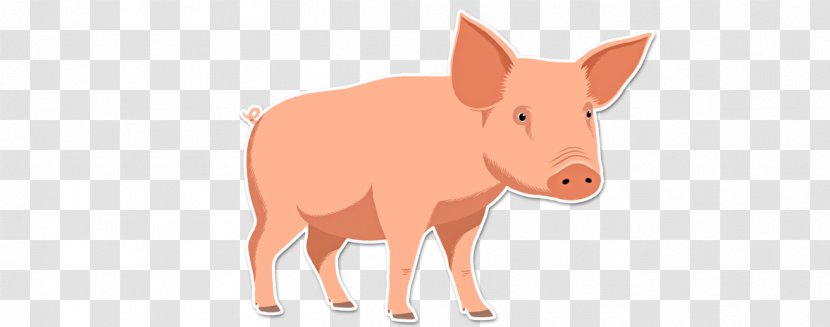 Pig Cattle Mammal Fauna Wildlife - Like Transparent PNG