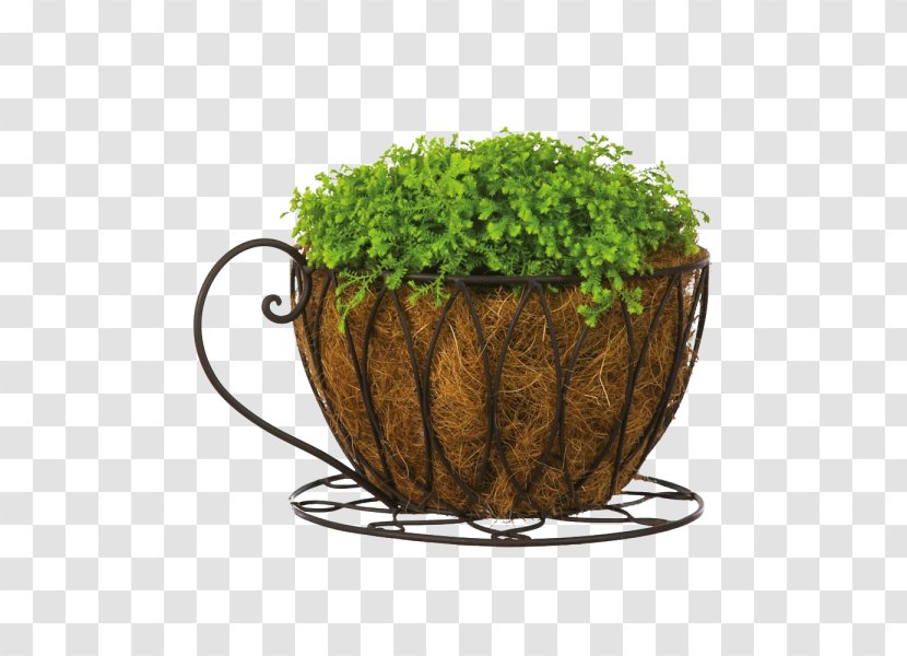 Flowerpot Coffee Cup Garden Teacup - Plant - Flower Transparent PNG