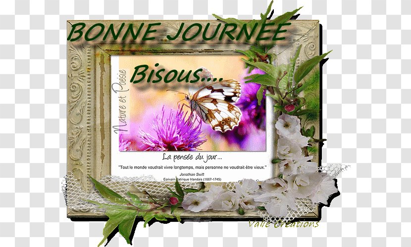 Week Akhir Pekan Semaine 11 35 0 - Flower - Bonjour Transparent PNG
