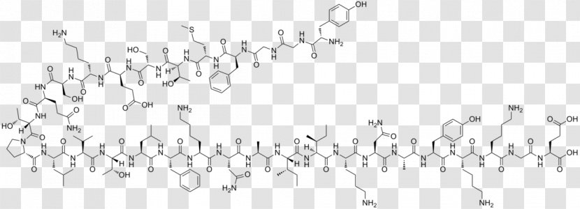 Endorphins Beta-Endorphin Enkephalin Opioid Peptide Proopiomelanocortin - Pituitary Gland - Handwriting Transparent PNG