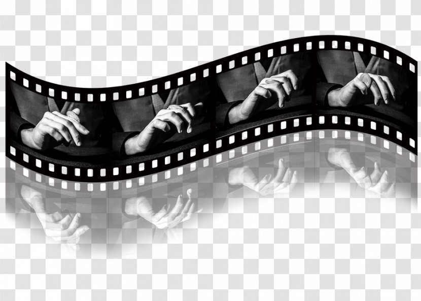 Photographic Film Photography Roll Black And White - Camera - The Transparent PNG