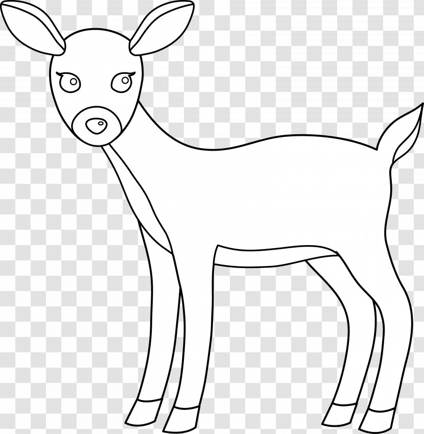 White-tailed Deer Clip Art - Animal Figure Transparent PNG