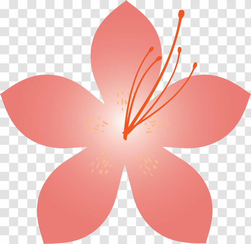 Azalea Spring Flower Azalea Flower Transparent PNG