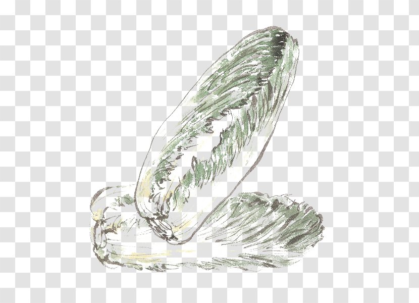 Designer Vegetable Napa Cabbage - Silver - Hand-painted Two Transparent PNG