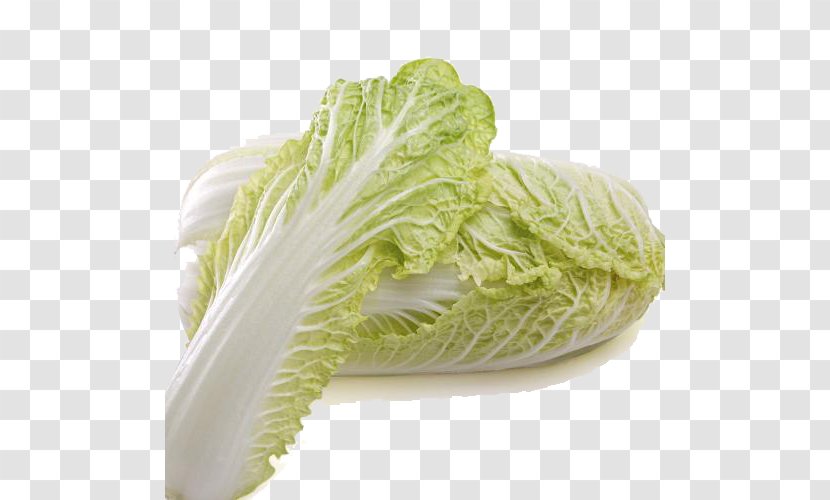 Romaine Lettuce Choy Sum Savoy Cabbage Chinese Vegetable - Fresh Transparent PNG