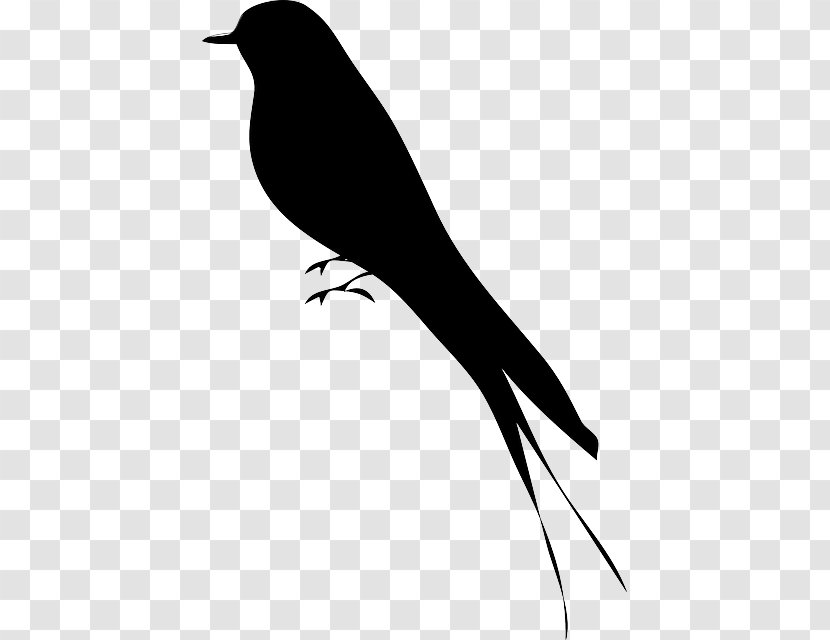 Bird Silhouette Drawing Clip Art - Birds Tree Transparent PNG