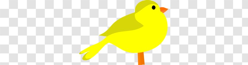 Beak Water Bird Text Illustration - Yellow Cliparts Transparent PNG