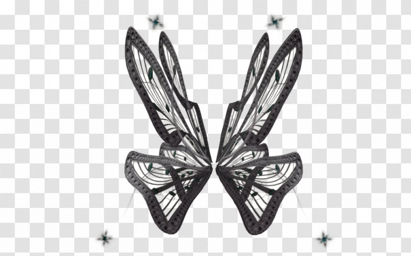 Butterfly Clip Art - Moth Transparent PNG