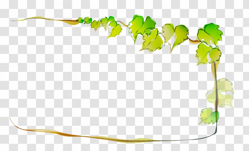 Green Leaf Plant Stem Product Design - Plants - Branching Transparent PNG