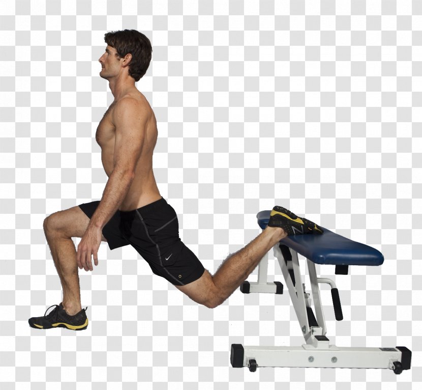 Bench Lunge Physical Fitness Exercise Weight Training - Watercolor - Dumbbell Transparent PNG