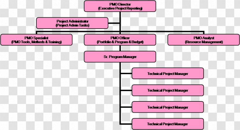 Project Management Office Organizational Chart Structure - Organization Transparent PNG