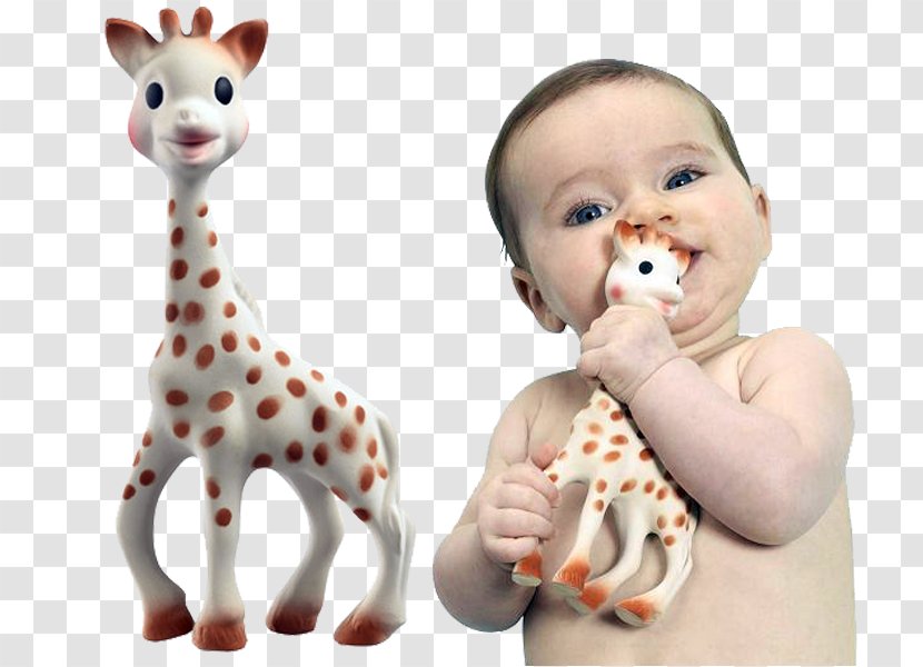 Sophie The Giraffe Teether Infant Child - Nose - Sandra Bullock Transparent PNG