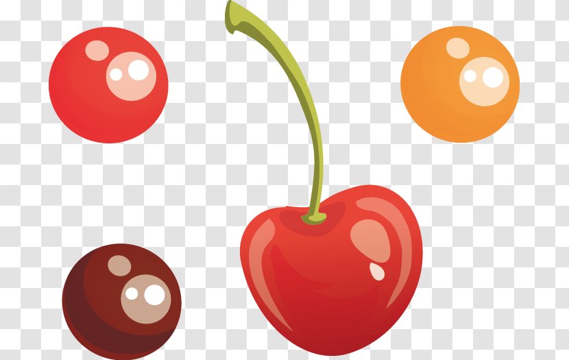Cherry Fruit Computer File - Blossom - Cartoon Transparent PNG