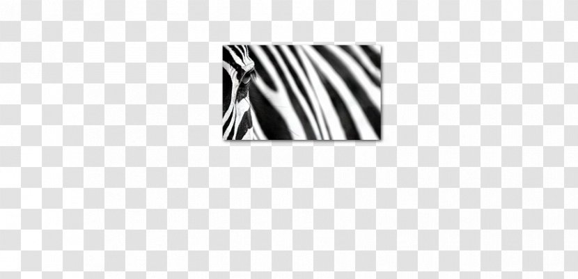 Logo White Mammal Brand Font - Area - Animal Stripes Transparent PNG