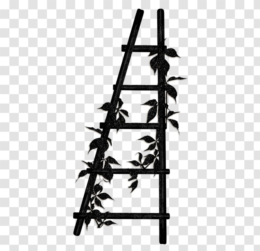 Ladder Wood Download - Tree - Black Transparent PNG