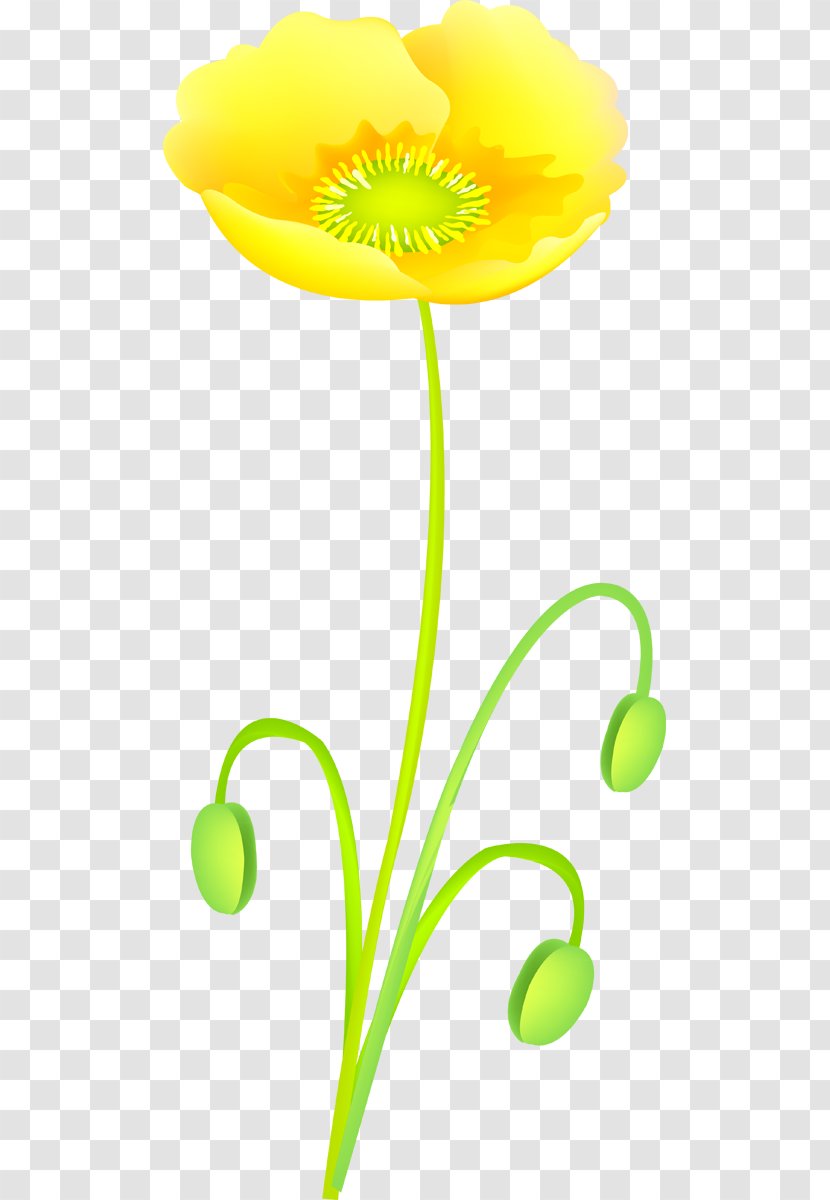 Clip Art Flowering Plant Stem Plants - Flower - Poppies Transparent PNG